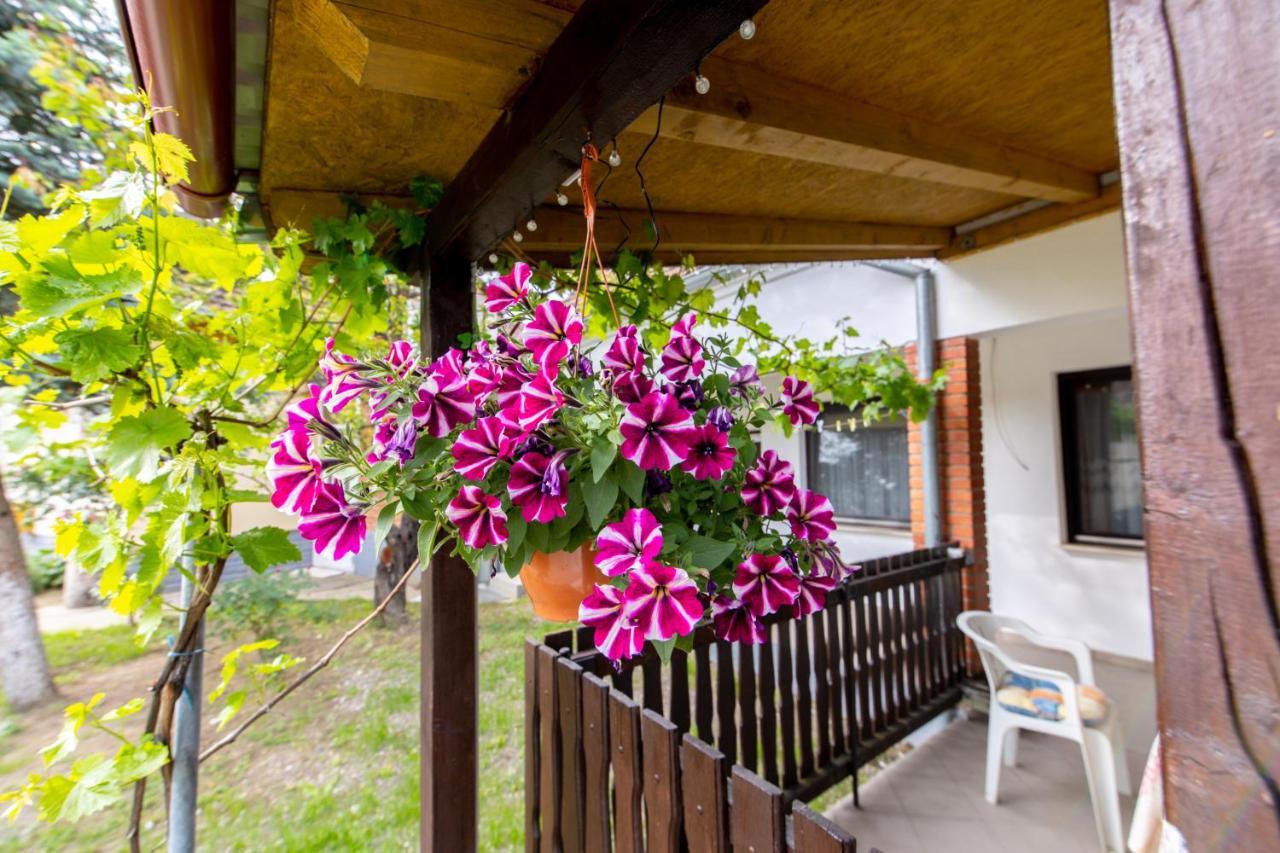 Apartman Marta I Soba Maja Gradiste Exterior photo