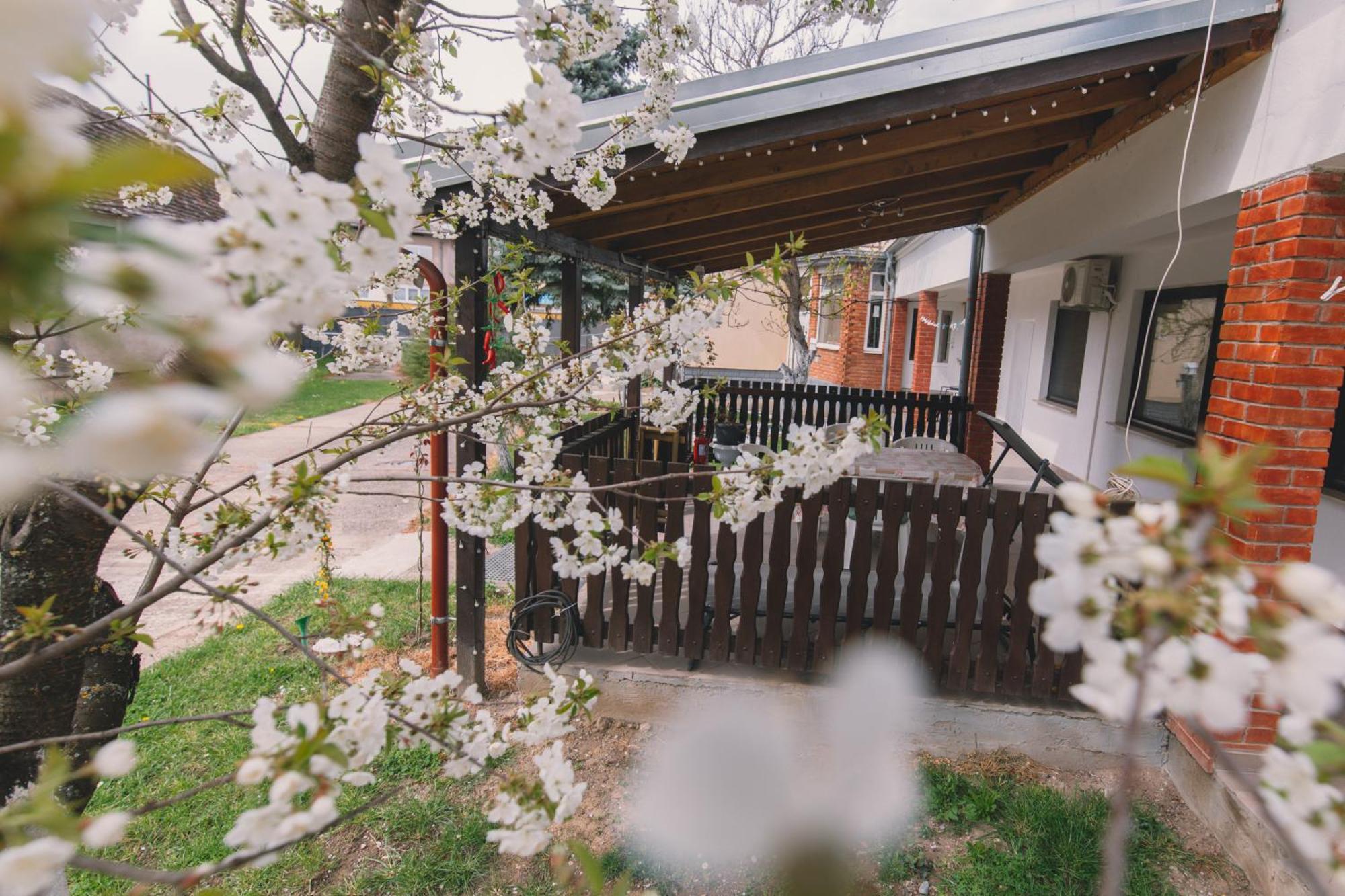 Apartman Marta I Soba Maja Gradiste Exterior photo